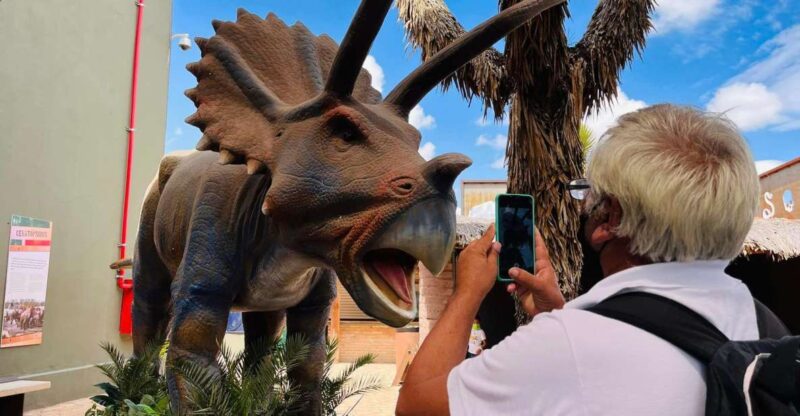 Tour: Dinosaur Museum With Guide, Transfer and Tickets - Key Points