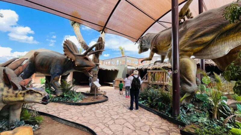 Tour: Dinosaur Museum With Guide, Transfer and Tickets - Experience Highlights