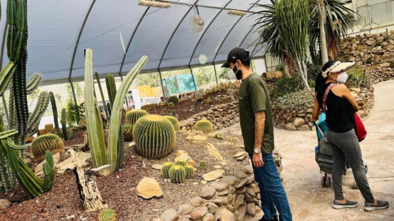 Tour: Dinosaur Museum With Guide, Transfer and Tickets - Inclusions