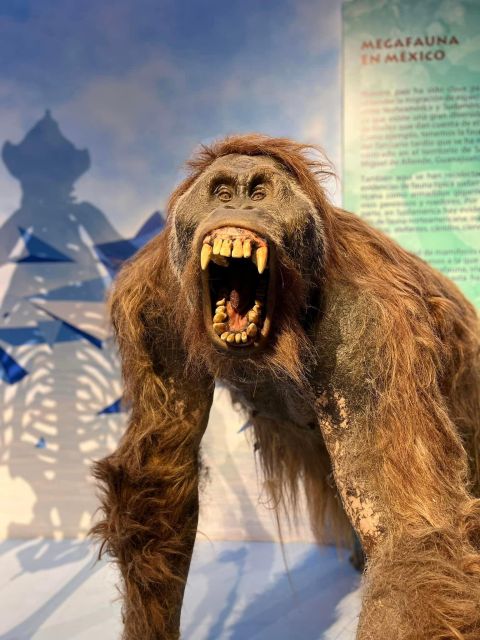 Tour: Dinosaur Museum With Guide, Transfer and Tickets - Booking Information