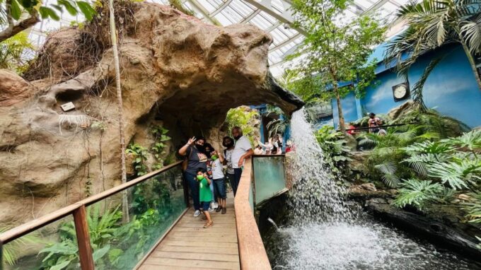 Tour: Dinosaur Museum With Guide, Transfer and Tickets - Visiting the Museum of Birds