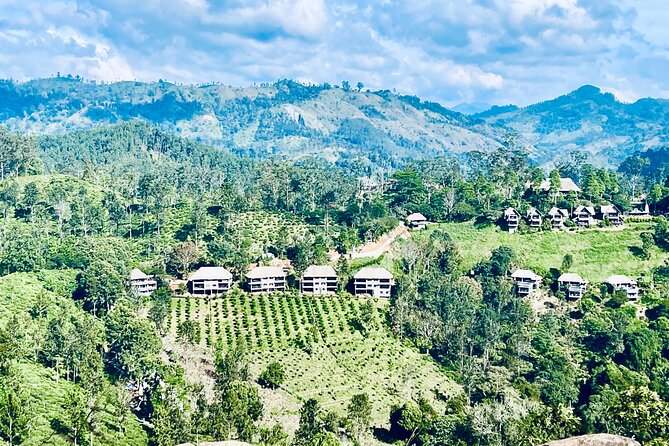 Tour Ella With a Local, Learn About Life in Sri Lanka! - Pickup Information