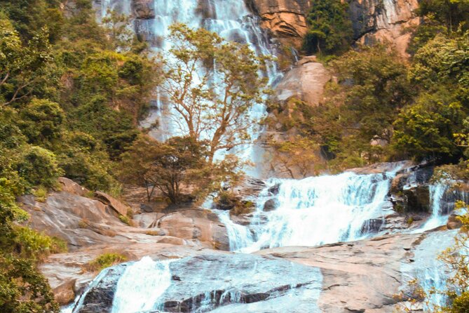 Tour Ella With a Local, Learn About Life in Sri Lanka! - Tour Schedule