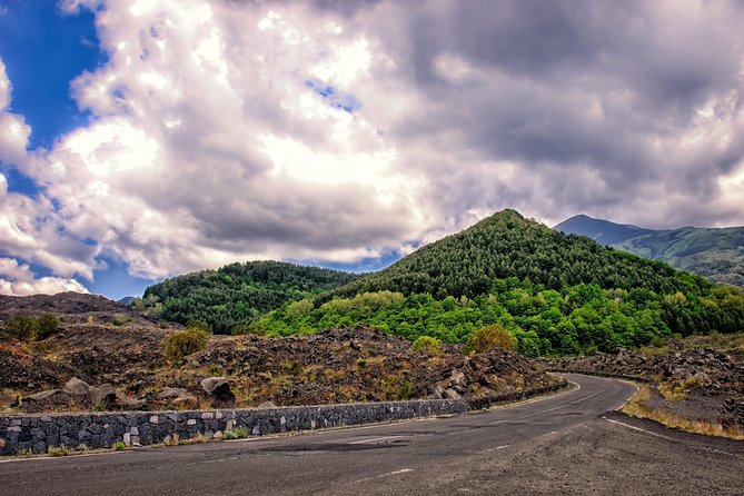 Tour Etna & Wine Tasting - Confirmation and Accessibility