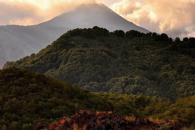Tour Etna & Wine Tasting Private - Inclusions, Policies, and Reviews