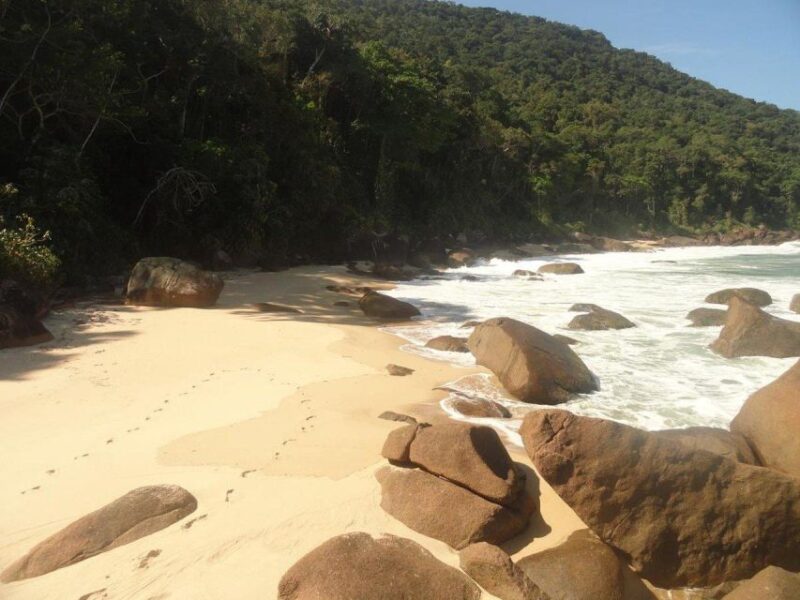 Tour for Brava De Itamambuca Beach - Trail Highlights