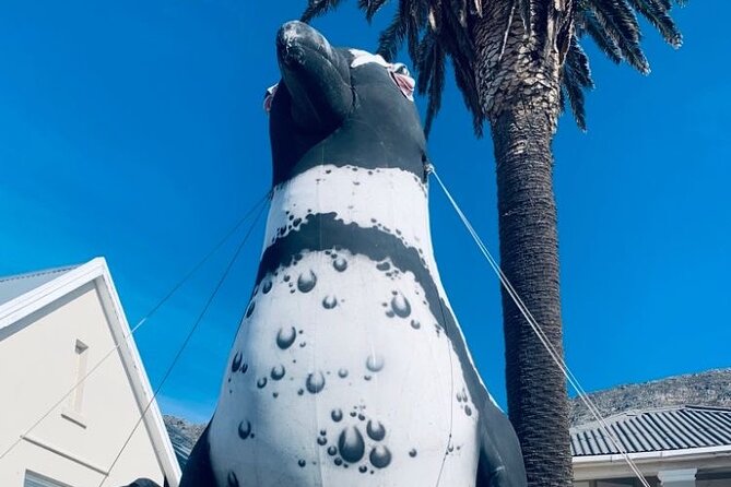Tour From Cape Town to Penguin Beach, Table Mountain, Campsbay - Accessibility