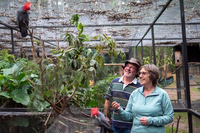 Tour from Eden to Merimbula Wetlands Wildlife and Coastline - A Natural Exploration of the Sapphire Coast
