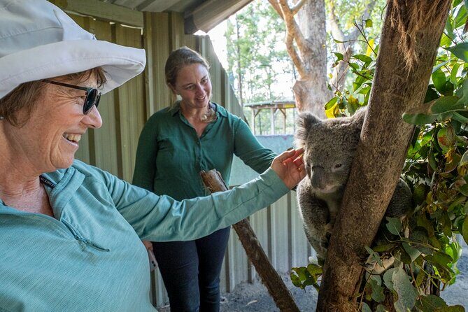 Tour from Eden to Merimbula Wetlands Wildlife and Coastline - Eden Lookout and Rotary Park: Coastal Vistas and Whales