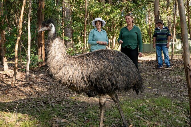 Tour from Eden to Merimbula Wetlands Wildlife and Coastline - Practicalities and Experience Quality