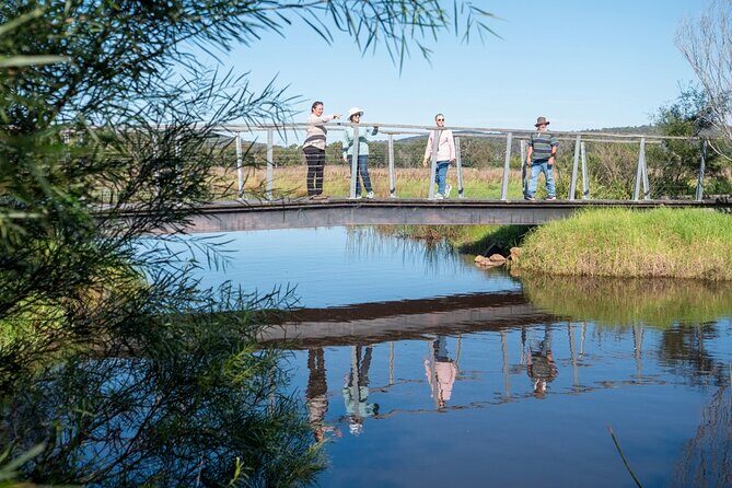 Tour from Eden to Merimbula Wetlands Wildlife and Coastline - Who Will Love This Tour?