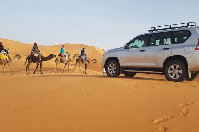 Tour From Marrakech to Fes 3 Days - Travel Tips and Recommendations