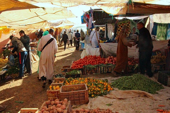 Tour From Marrakech to the Sahara Desert 4 Days - Camel Trek