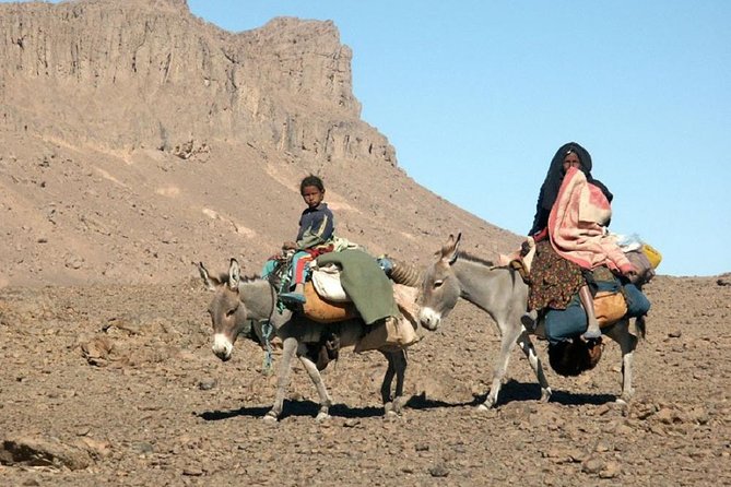 Tour From Marrakech to the Sahara Desert 4 Days - Transport Options