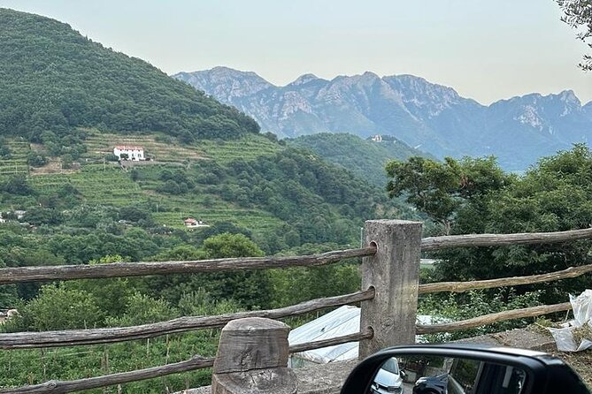 Tour From Positano to Amalfi Coast : Luxury Tour, Secret Vineyard - Booking and Cancellation Policy