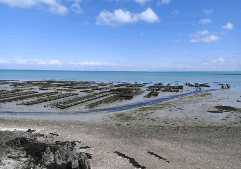 Tour From Rennes: Mont Saint-Michel & Cancale & Saint-Malo - Inclusions and Exclusions