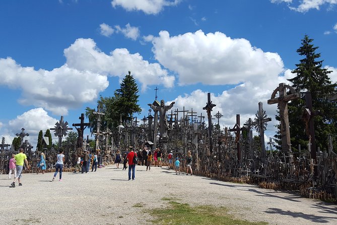 Tour From Riga to Vilnius: Bauska Castle, Rundale Palace and the Hill of Crosses - Tour Type and Accessibility