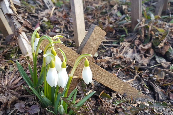Tour From Riga - Vilnius via Bauska, Rundale, the Hill of Crosses - Meeting and Pickup Details