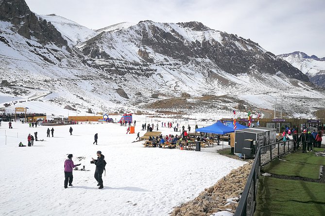 Tour From Santiago to Valle Nevado and Farellones in Small Groups - Inclusions