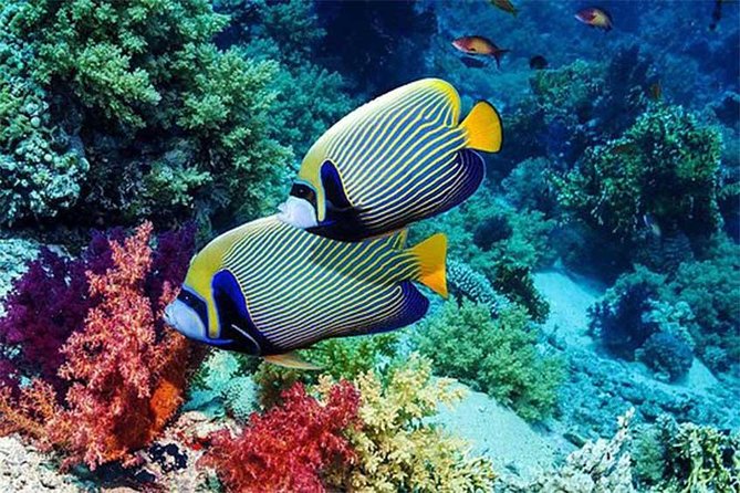 Tour Gate of Heaven at Lempuyang Temple - Blue Lagoon Snorkeling With Lunch - Tour Inclusions