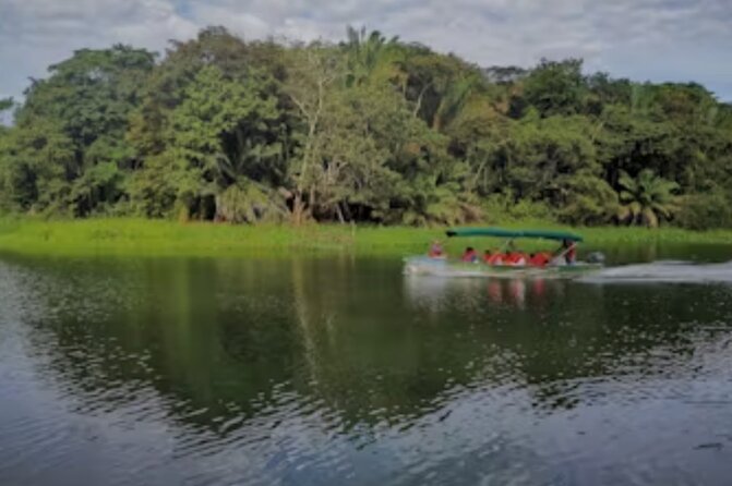 Tour Gatun Lake Wildlife Monkey Watch and Sloth Sanctuary - Key Points