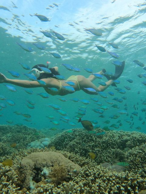Tour Gili Islands : Private Snorkeling Trip 4 Hours - Customer Reviews and Ratings