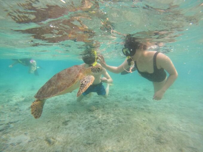 Tour Gili Islands : Private Snorkeling Trip 4 Hours - Additional Details