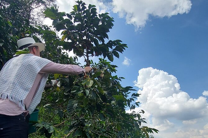 Tour Guatape and Coffee - History of Guatapé