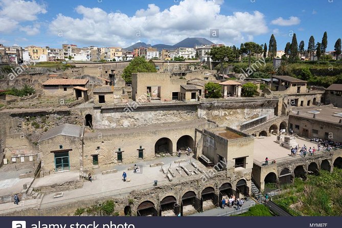 Tour Herculaneum Archaeological Park and Mount Vesuvius - Unraveling Herculaneums Preserved History