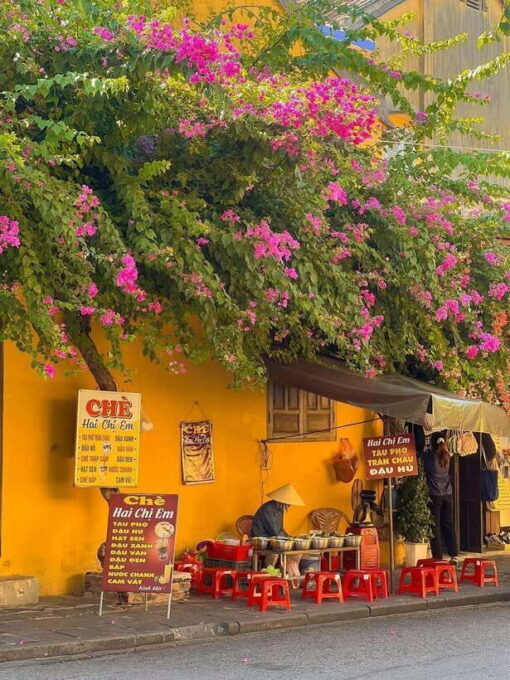 Tour Hoi an Ancient Town - Flower Lanterns - Coconut Forest - Since You Asked