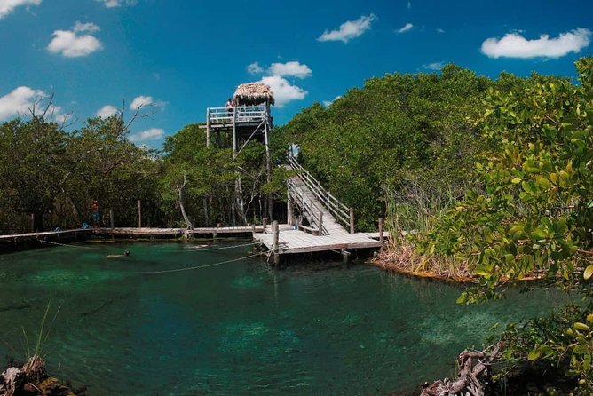 Tour Holbox - Two Island & Cenote From Cancun & Playa Del Carmen - Tour Conditions