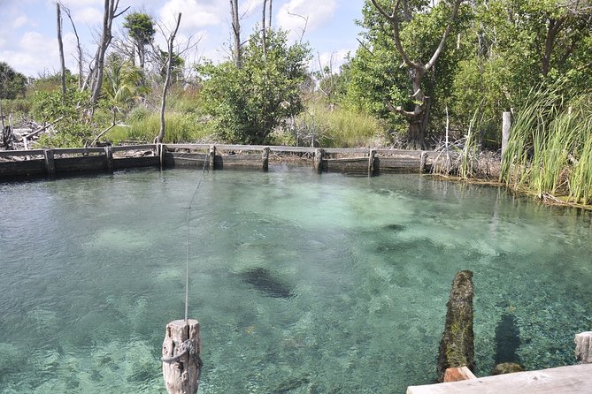Tour Holbox - Two Island & Cenote From Cancun & Playa Del Carmen - Booking Details