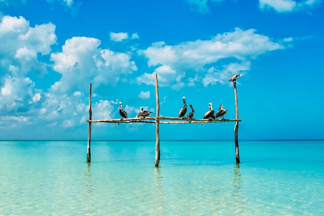 Tour Holbox - Two Island & Cenote From Cancun & Playa Del Carmen - Frequently Asked Questions