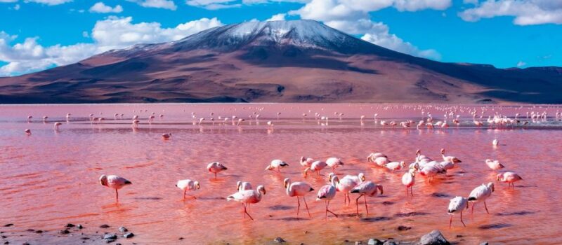 |Tour + Hotel Cusco,Moray, Machu Picchu - Bolivia 13 Days || - Important Information