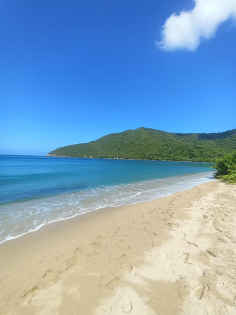 TOUR IN A FAST BOAT TO TAYRONA CRYSTAL BEACH - Booking and Cancellation