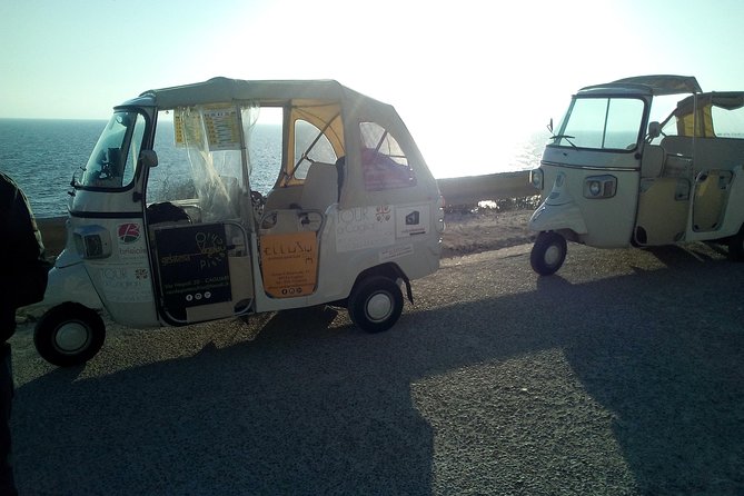 Tour in Ape Calessino (Tuk Tuk) 4 Districts + Poetto Beach + Pink Flamingos - Destination Highlights