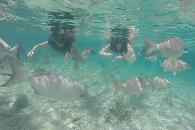 Tour in Buggy Cedral History Snorkeling and Lunch in Cozumel - Snorkeling Adventure