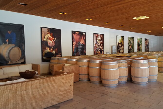 Tour in Colchagua Vineyards Montes and Vineyards Viu Manent - Viu Manent Vineyard Visit