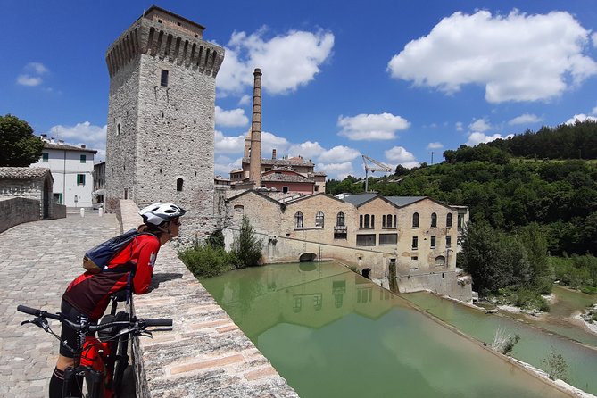 Tour in Ebike Furlo Gorge Reserve and Truffle - Location and Meeting Point