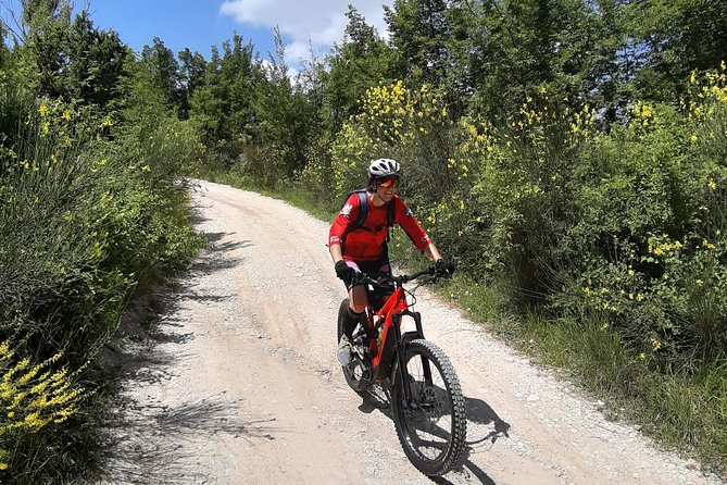 Tour in Ebike Furlo Gorge Reserve and Truffle - Truffle Tasting Experience