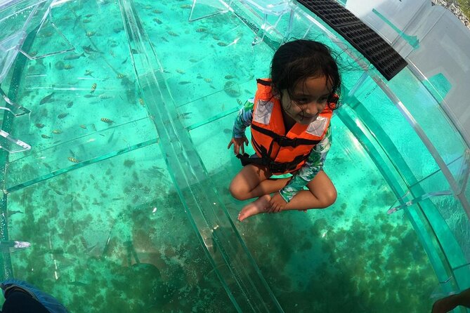 Tour in Isla Mujeres " Transparent Boat Ride - Meeting Location