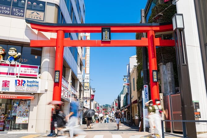 Tour in Kamakura Great Buddha Shogun Shrine With Photographer - Meeting Point and Transportation