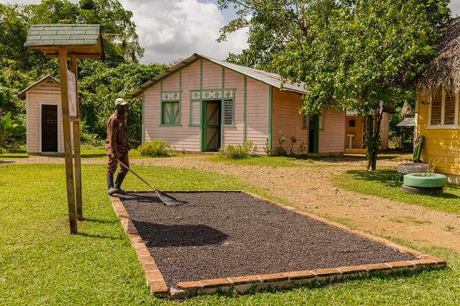 Tour in La Hacienda With Sports Activities and Buffet - Accessibility and Participation