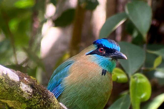 Tour in Monteverde Curi-Cancha Reserve - Traveler Recommendations