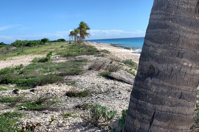Tour in North and South Bonaire Guided - Authentic Insights from Guest Reviews