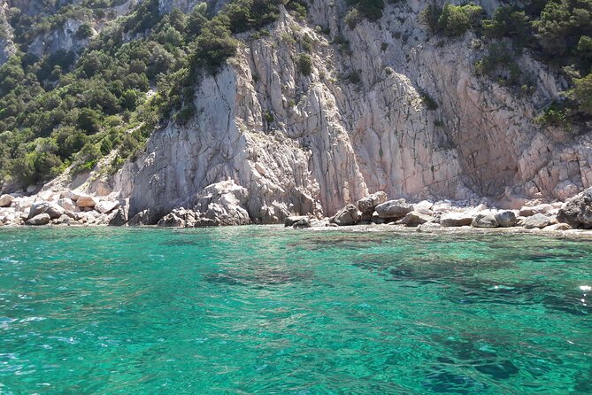 Tour in Rubber Dinghy and Snorkeling in the Protected Marine Area of Tavolara - Meeting Point