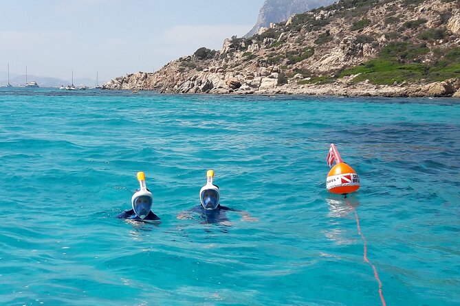 Tour in Rubber Dinghy and Snorkeling in the Protected Marine Area of Tavolara - Accessibility and Restrictions
