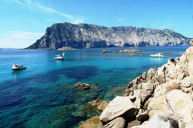 Tour in Rubber Dinghy and Snorkeling in the Protected Marine Area of Tavolara - Transportation and Parking