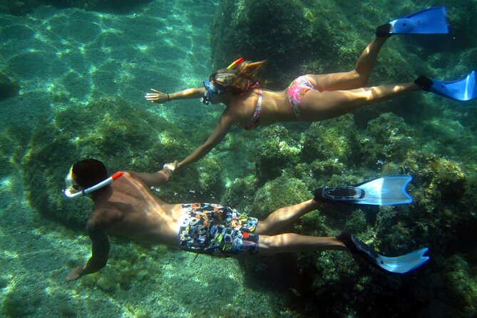 Tour in Rubber Dinghy and Snorkeling in the Protected Marine Area of Tavolara - Additional Considerations