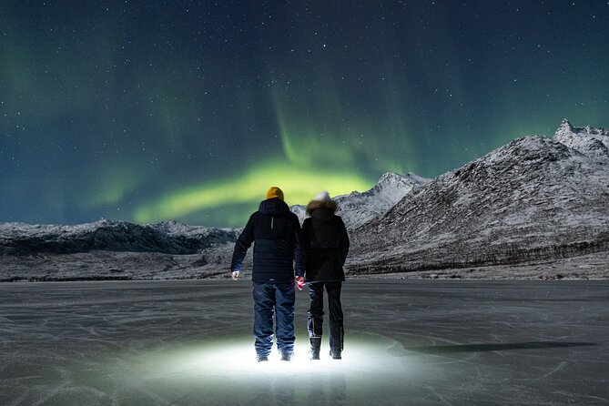 Tour in Search of the Northern Lights in Tromso - Traveler Feedback